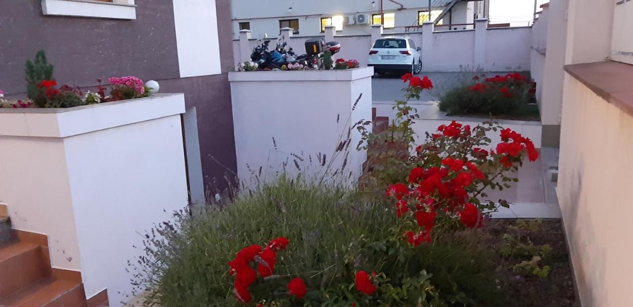 Vila Family Cricova Экстерьер фото